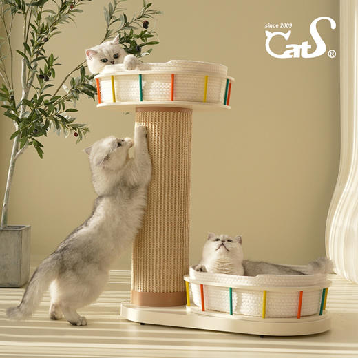 游乐园系列太空舱超耐抓剑麻实木猫抓板大小体型猫通用 商品图2