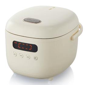 小熊（Bear）电饭煲智能家用多功能迷你全自动柴火饭预约煲汤煮粥锅煮饭煲2L DFB-B20N2米白