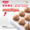 咯咯哒金鸡蛋30枚礼盒装可生食无菌新鲜寿喜锅鸡蛋 商品缩略图3