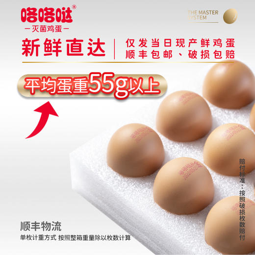 咯咯哒金鸡蛋30枚礼盒装可生食无菌新鲜寿喜锅鸡蛋 商品图3