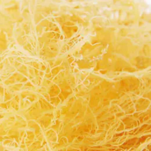 海山来-海石花 约100g/份 （海藻） 商品图2
