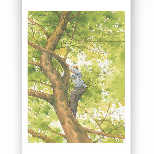 大作家写给孩子们（第四级）：种树的人 商品图3