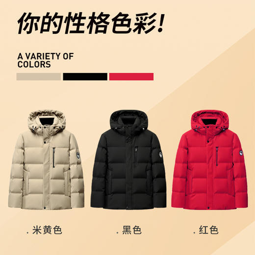 圣得西新国标高充绒防寒男士羽绒服冬季正品连帽加厚外套 商品图4