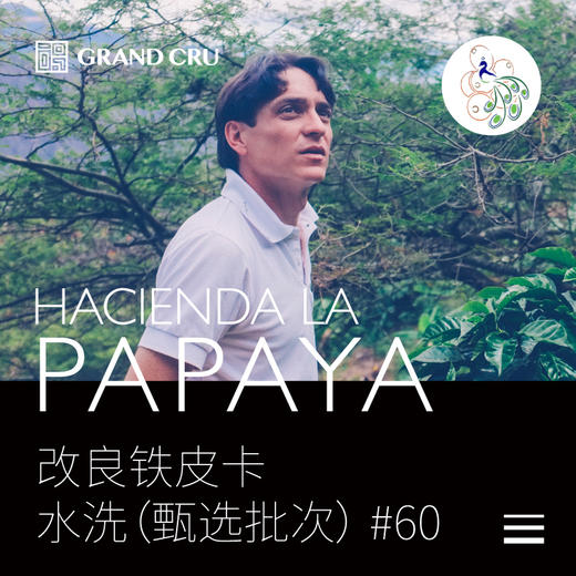 新产季 | 厄瓜多尔木瓜庄园 | 甄选批次｜水洗 改良铁皮卡 #60 商品图0