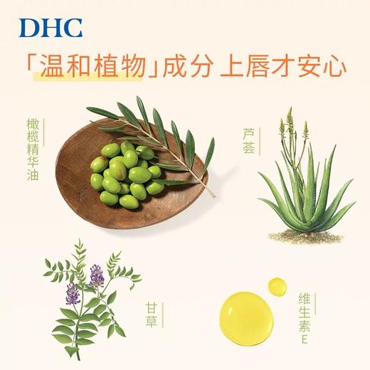 DHC橄榄护唇膏 商品图2