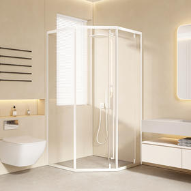 帝王洁具钻石型淋浴房不锈钢家用钢化玻璃隔断卫生间干湿分离SH912