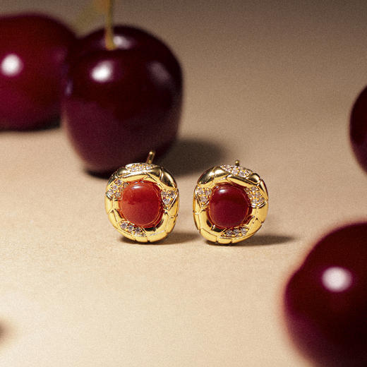 ARSIS｜蛇来运转系列 蛇纹鸿运耳钉 商品图4