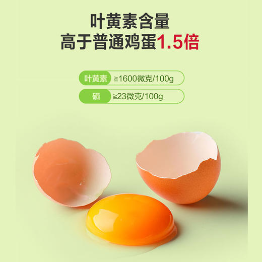 睛彩叶黄素鲜鸡蛋30枚 商品图1