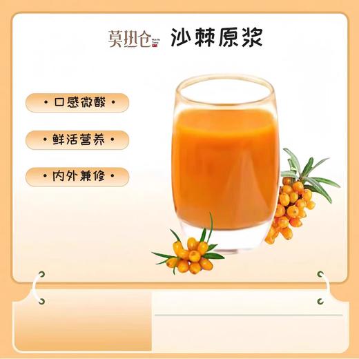 莫热仓沙棘原浆210ml（30ml*7/袋） 商品图3
