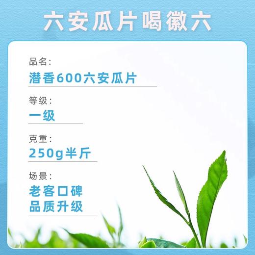 2025新茶上市徽六绿茶六安瓜片浓香口碑茶叶潜香600一级250g 商品图2
