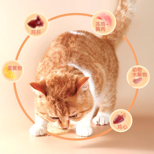 乐免激丨宠物高免抗应激冻干颗粒 商品图2