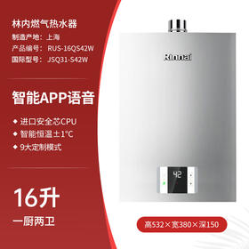 林内（Rinnai）燃气热水器 智能APP&语音双控制 恒温防冻 S42W 天然气 16QS42W