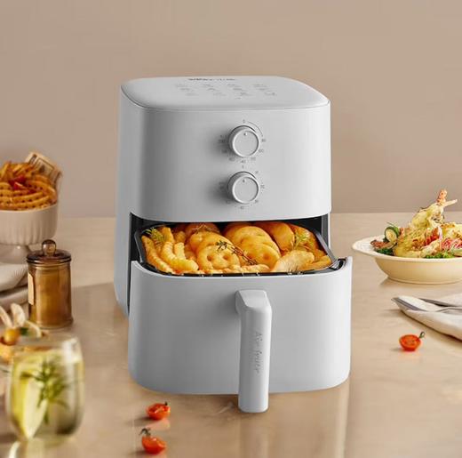 小熊（Bear）空气炸锅家用多功能5L微电脑触控微蒸汽嫩烤电炸锅 QZG-Z15B3 商品图1