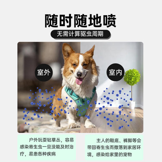 巴士宠 非泼罗尼喷剂100ml 体外驱虫 安全高效 线下专供【5送2，10送5】 商品图3