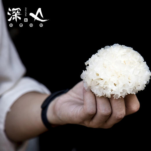 【通江扶贫】通江县深山良品银耳100g 商品图2