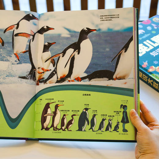 《大英儿童百科知识大数据》 商品图11