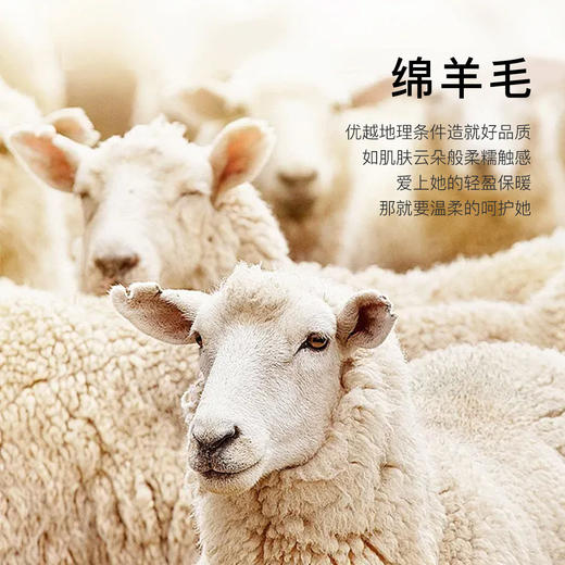 高级感内搭【100%绵羊毛】时尚v领打底衫女无缝舒适一体成型DMR201桃心羊毛打底衫 商品图4