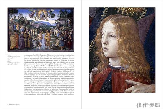 Renaissance Secrets: A Lifetime Working with Wall Paintings by Michelangelo、Raphael、and Others at th 商品图3