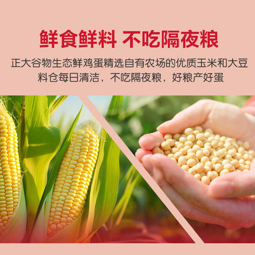 正大鲜鸡蛋30枚 商品图1