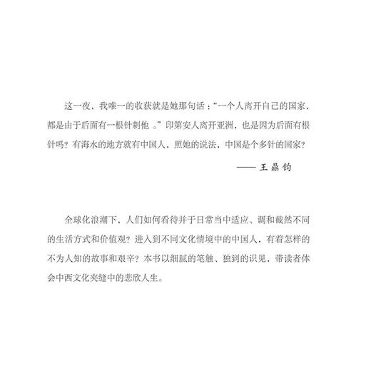 海水天涯中国人 王鼎钧作品系列 商品图4