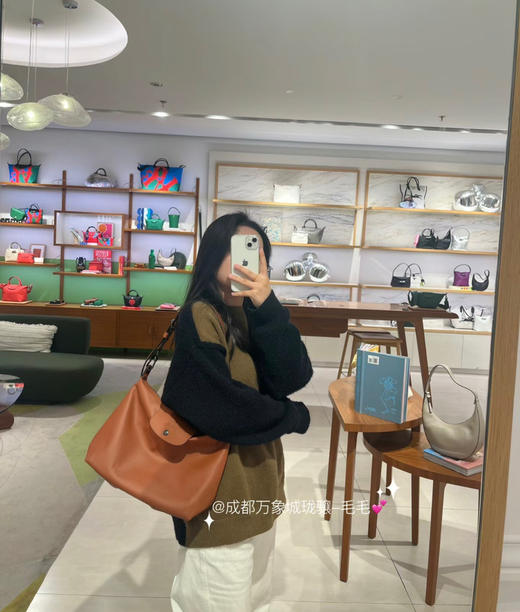 龙骧Longchamp hobo腋下包单肩托特包 商品图6