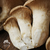 生态麒麟菇 | 绿家自产* Ecological abalone mushroom | Self-production 商品缩略图4