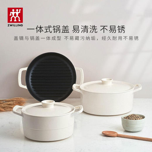 双立人  Dragon 铸铁饭釜锅22厘米 商品图4