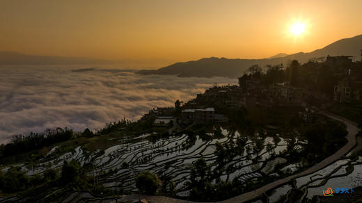 3月10日【云南花开】宜良樱花•加级寨梨花•元阳梯田•建水古城•哀牢山八天摄影 商品图9