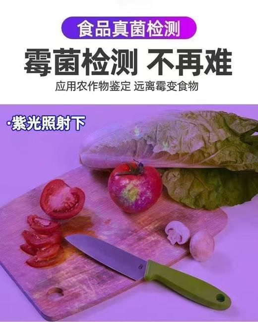 [外贸品质]多功能农药残留检测器验家用蔬菜水宋 商品图2