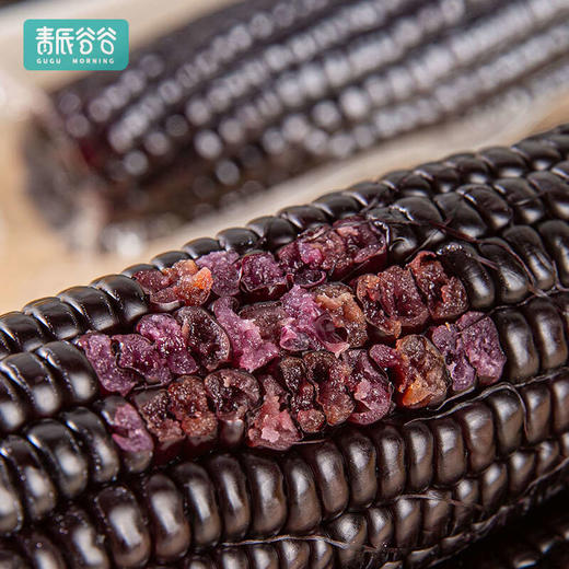 新疆甜糯玉米 绿色食品认证 非转基因 商品图7