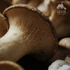 生态麒麟菇 | 绿家自产* Ecological abalone mushroom | Self-production 商品缩略图3