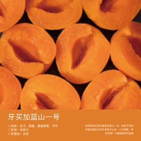 牙买加蓝山一号