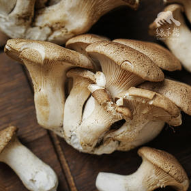 生态麒麟菇 | 绿家自产* Ecological abalone mushroom | Self-production