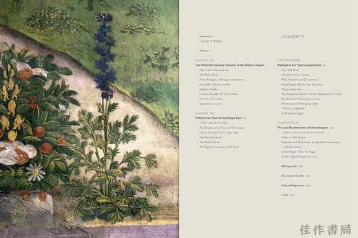 Renaissance Secrets: A Lifetime Working with Wall Paintings by Michelangelo、Raphael、and Others at th 商品图1