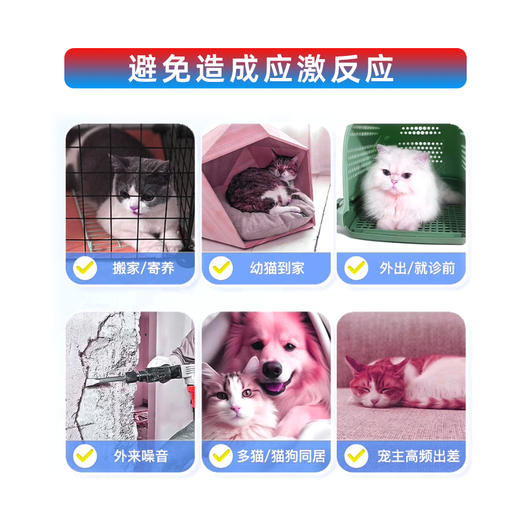 乐免激丨宠物高免抗应激冻干颗粒 商品图5