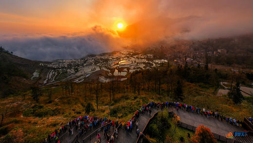 3月10日【云南花开】宜良樱花•加级寨梨花•元阳梯田•建水古城•哀牢山八天摄影 商品图10