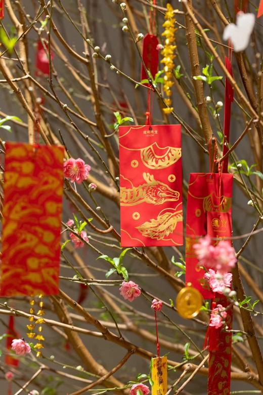 虎/免/龙年红包组合 商品图8