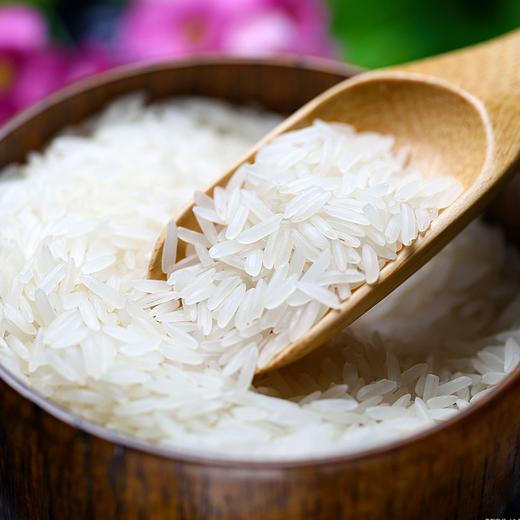 疯抢中！！泰国香米国际认证！【泰国原装进口茉莉香米】0香精无勾兑 长粒饱满口感软糯 劲道好吃 商品图4