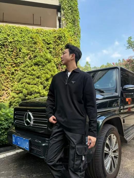 P家 三角标Polo衫长袖（DY） 商品图0