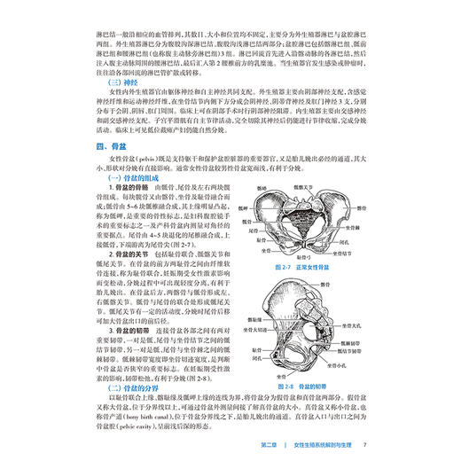 妇产科学 第9九版 全国高等职业教育专科教材十四五规划教材 王泽华 李淑文主编 供临床医学专业用 人民卫生出版社9787117371506 商品图4