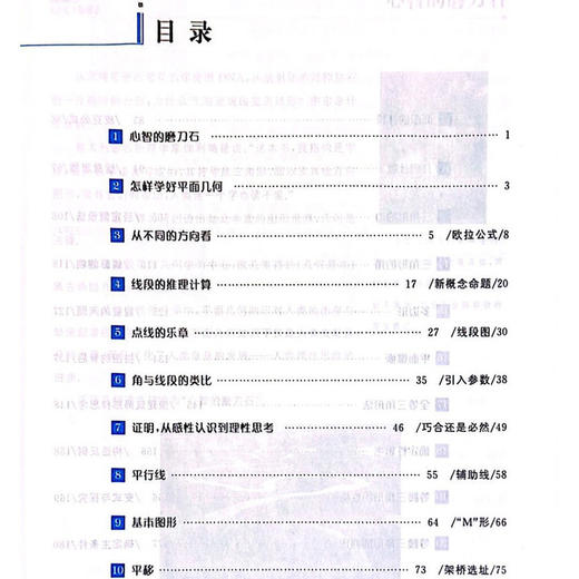 新版爱与恨的初中平面几何七年级八九年级 黄东坡著 初中7年级数学培优新方法同步训练题练习册初中新思维奥数竞赛几何辅助线秘籍 商品图2
