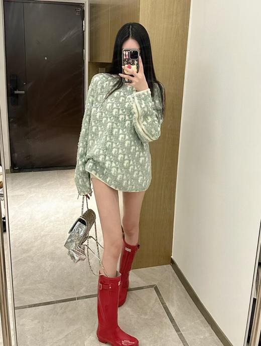 D家 毛圈纱拉链毛衣（DY） 商品图6