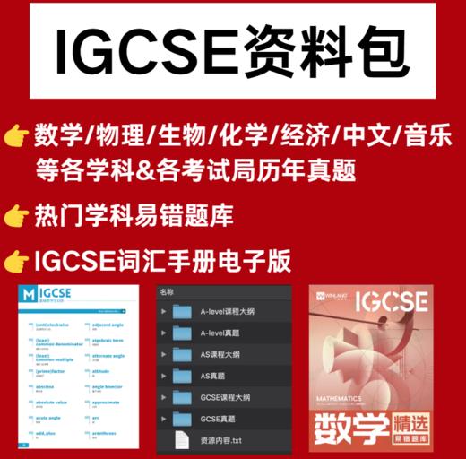 【双12拼团】IGCSE备考资料包 商品图0