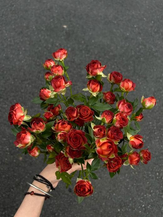 国产多头玫瑰巧克力泡泡10支 商品图5