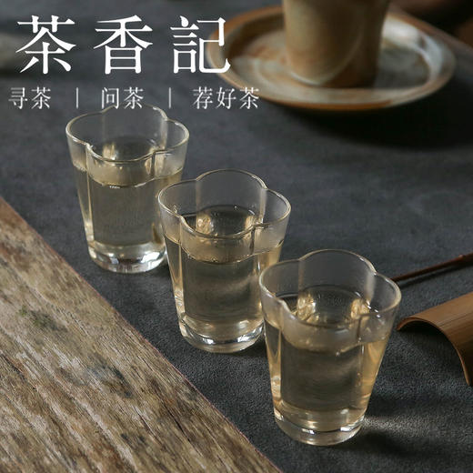 茶香记 青花白毫银针018 福鼎白茶 半荒野头采 毫香蜜韵 可可香 柚花香 商品图5