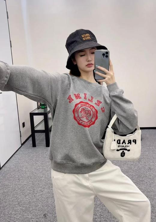 C家 凯旋门植绒印花卫衣（DY） 商品图0