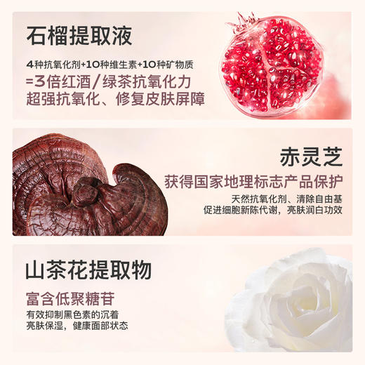 【枫稳同款】蒂洛薇恒瓷沁润粉膏+云雾水散粉 限定套组【周边限量加赠，赠完即止】 商品图3
