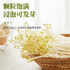 秘鲁进口 绿豆 700g/袋 商品缩略图3