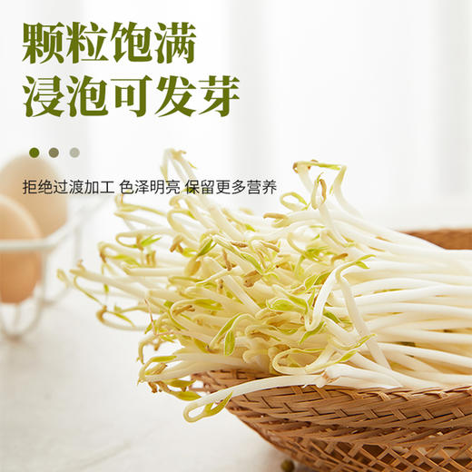 秘鲁进口 绿豆 700g/袋 商品图3