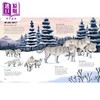 【中商原版】狼害怕黑暗吗 Are Wolves Afraid of the Dark 英文原版 儿童科普 动物知识百科图画书 精装精品绘本 进口童书 商品缩略图3